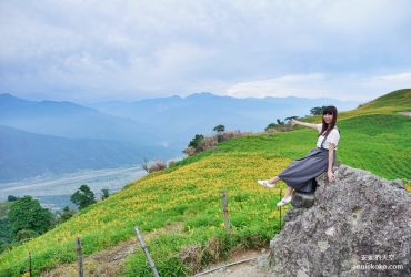 [花蓮旅遊] 來去六十石山賞金針花 看星空 來跟流星許個願吧 還有超有趣的採茶體驗