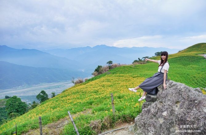 [花蓮旅遊] 來去六十石山賞金針花 看星空 來跟流星許個願吧 還有超有趣的採茶體驗