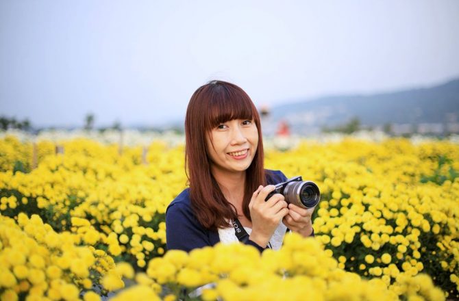 [苗栗旅遊] 品味公館紅棗之香  漫遊銅鑼杭菊之美