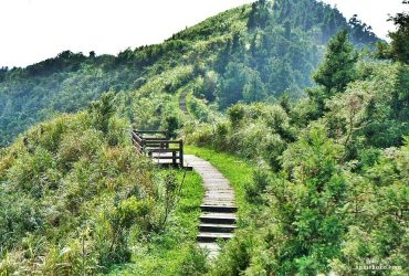 [台北步道 五分山登山步道] 抹茶山系裡的唯美秘境，蜿蜒在山谷的神祕山徑，五分山路線完整攻略 我又征服了一座小百岳