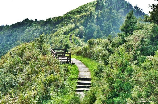 [台北步道 五分山登山步道] 抹茶山系裡的唯美秘境，蜿蜒在山谷的神祕山徑，五分山路線完整攻略 我又征服了一座小百岳