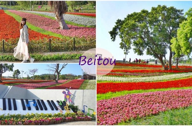 [北投景點 北投社三層崎公園 ]山丘上夢幻花毯 台灣版富良野花海 繽紛春日的序曲 期間限定