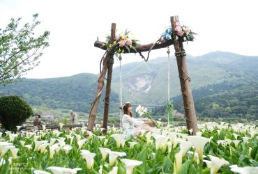 [2020陽明山海芋季]名陽匐休閒農莊 白色花田裡的唯美鞦韆 遙望小油坑夢幻山景 竹子湖最浪漫賞芋景點