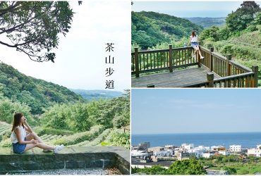 [新北石門景點 茶山步道] 像是走進茶園廣告場景裡  梯田竹林山景海景一次擁有 被海風潤澤的茶園步道 適合親子同行