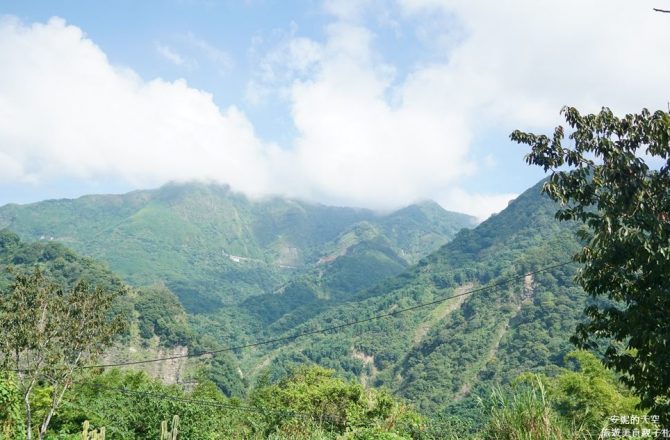 [阿里山 達邦部落 ]最富有靈魂的部落旅程 隱藏版友善貓村  maezo生活-部落美製造所工作營