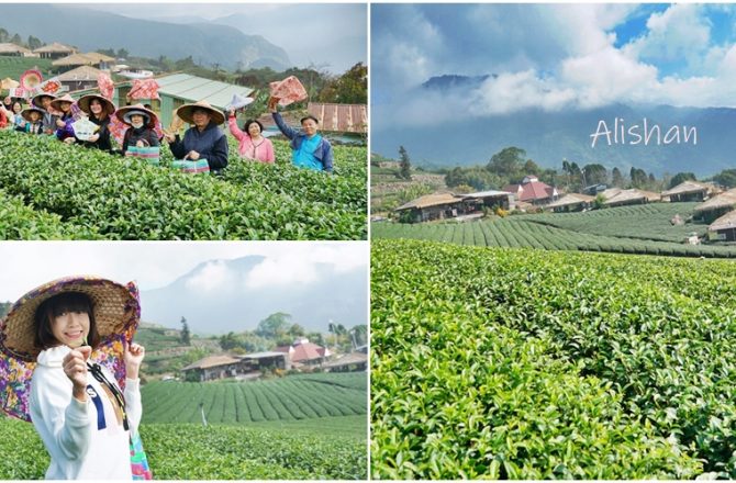 ［嘉義 石棹］阿里山國際茶藝學校 來一場山與茶的美麗相遇　最有深度的識茶體驗　林園製茶微笑茶館