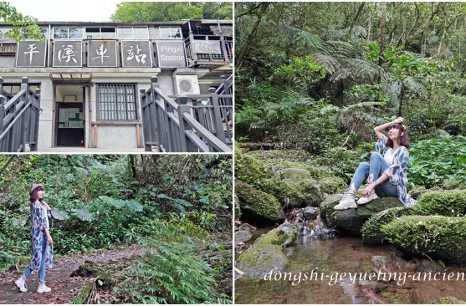 [新北 東勢格越嶺古道] 隱身平溪車站山城的奇幻旅程 穿越煤礦歷史的原始山徑