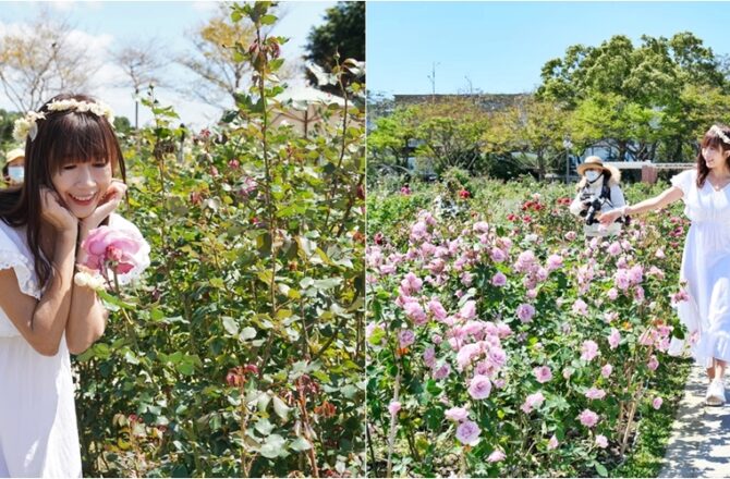 [台北玫瑰園]2022台北玫瑰展，超過5000株玫瑰的夢幻花園 ，沉浸式優雅花香 ，免門票入園。