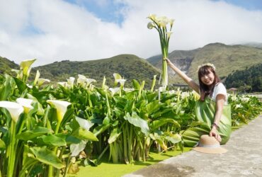 2022竹子湖海芋季~ [財福海芋田]，穿青蛙裝下田採海芋太療癒 ，竹子湖最值得來的海芋田，門票與交通指引，農遊券合作店家。