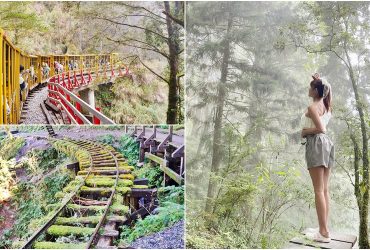 宜蘭景點│太平山森林遊樂園區，搭乘蹦蹦車，走進如仙境般森林，見晴懷古古道， 一覽翠峰湖醉人姿態 。 鳩之澤泡湯趣。