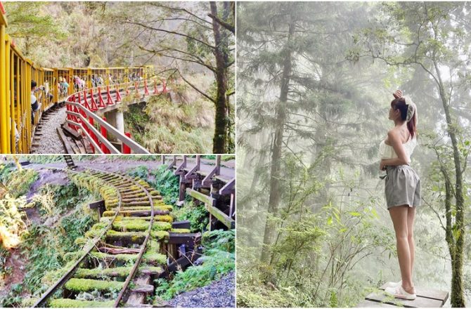 宜蘭景點│太平山森林遊樂園區，搭乘蹦蹦車，走進如仙境般森林，見晴懷古古道， 一覽翠峰湖醉人姿態 。 鳩之澤泡湯趣。