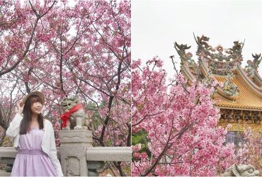 新北.林口景點│竹林山觀音寺，古剎裡的櫻花林，昭和櫻、墨染櫻大盛開，櫻花季宛若走進小京都。