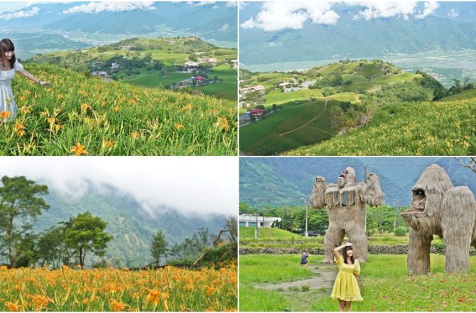 花蓮景點│ 六十石山，8-10月金針花季，兩天一夜富里鄉秘境遊程。