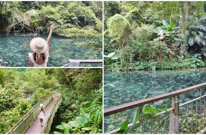 苗栗南庄秘境[四十二份自然湧泉生態步道]，隱身山林裡的碧綠湧泉，宛如精靈降落的仙境。