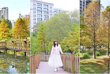 新莊最美落羽松景點，最美湖畔濕地木棧道，冬季限定落羽松美景，走出捷運站就是仙境。