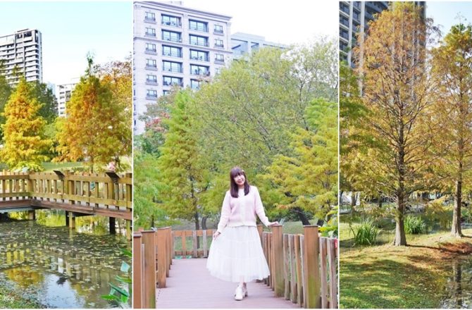 新莊最美落羽松景點，最美湖畔濕地木棧道，冬季限定落羽松美景，走出捷運站就是仙境。