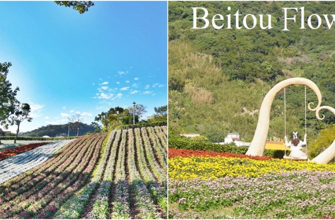 [北投景點 北投社三層崎公園 ]山丘上夢幻花毯，台灣版富良野花田，浪漫鞦韆紫色鼠尾草亮麗登場。