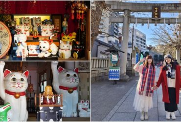 東京淺草景點[今戶神社]滿滿招財貓求戀愛感情的療癒神社，超萌招財貓御守求籤開運超靈驗。