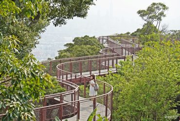 台北景點│ 碧山露營場步道，隱身露營場的S型森林系天空步道，宛如漫步在雲端，與台北101同框。