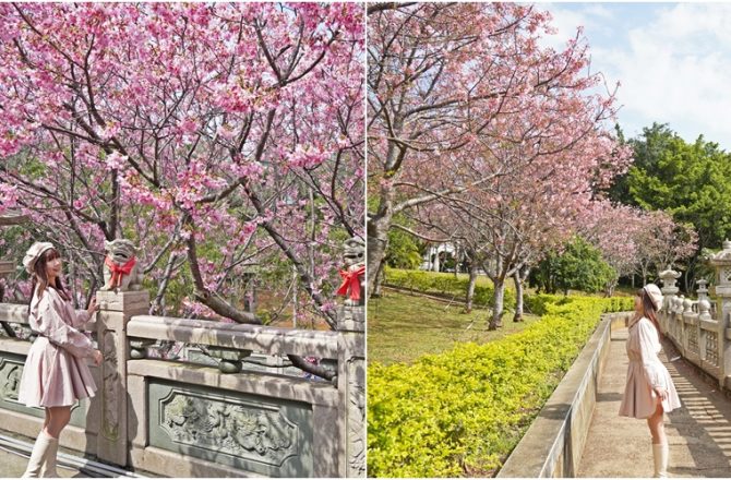 竹林山觀音寺│ 櫻花季宛如走進小京都，古剎絕美櫻花林，新北林口最大賞櫻勝地，昭和櫻、吉野櫻大盛開。