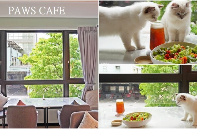 新莊美食[PAWS CAFE]，鄰近幸福站韓系寵物餐廳，絕美綠意窗景，有萌貓陪你用餐。