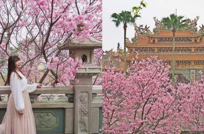 林口景點【竹林山觀音寺】 櫻花季宛如走進小京都，古剎絕美櫻花林，新北林口最大賞櫻勝地。