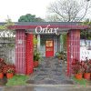 桃園中壢【Orlax花香氣】藏身馬祖新村眷村裡的花園秘境餐廳。