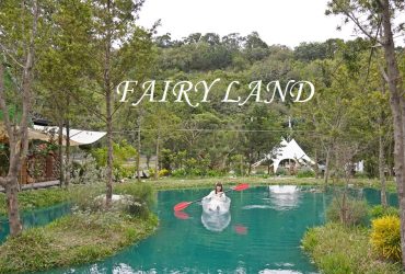台中后里【喜鵲方舟Fairy Land 】浪漫朗月湖搭乘透明獨木舟，餵食梅花鹿，漫步天空之鏡，與動物同歡的美麗園區。