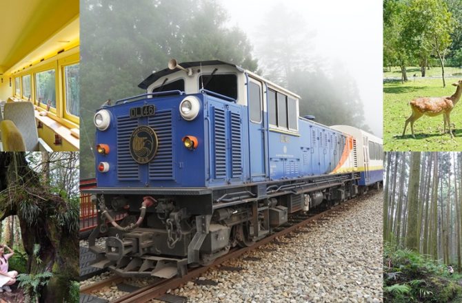 「栩悅號」觀光列車全新體驗！馳騁阿里山林道的夢幻列車，三天兩夜奇幻旅程，解鎖阿里山深度秘境。