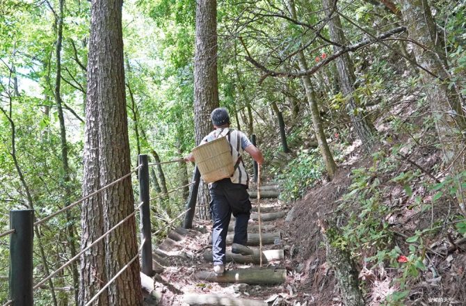 【梨山】環山部落獵人步道體驗・走進原鄉的森林生活，部落實境體驗，梨山兩天一夜旅程。