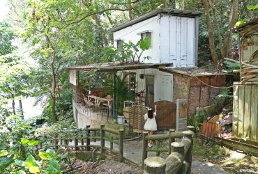 【渡深】深坑山坡上的隱藏版預約制咖啡館。廢墟感場域、低調手作甜點、不定期營業。