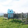 2025花蓮六十石山金針花季登場！吉祥物「咖波」萌趣現身花海間，共賞上帝的金黃畫布。