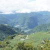 【梨山】遠得要命的人間仙境．走進原鄉森林與茶園秘境｜兩天一夜深度旅程