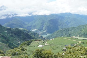 【梨山】遠得要命的人間仙境．走進原鄉森林與茶園秘境｜兩天一夜深度旅程