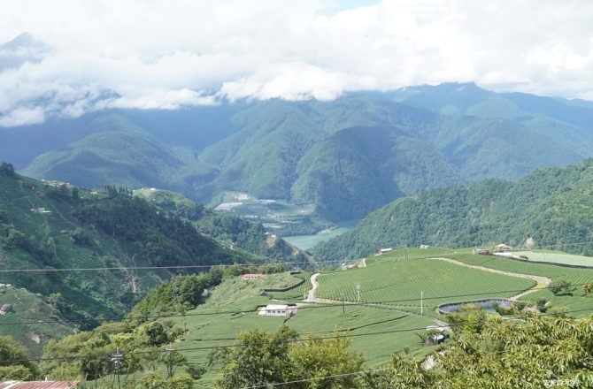 【梨山】遠得要命的人間仙境．走進原鄉森林與茶園秘境｜兩天一夜深度旅程