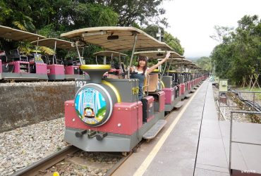 從海到山的慢旅節奏，探訪苗栗慢魚海岸特色店家，舊山線鐵道自行車漫遊山城，苗栗原來可以這樣玩。