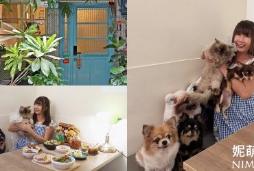 三重寵物友善咖啡廳｜妮萌咖啡NiMocafe，寵物可落地自在玩耍，唯美海景投影與老宅魅力，重現東北角海味的療癒空間。