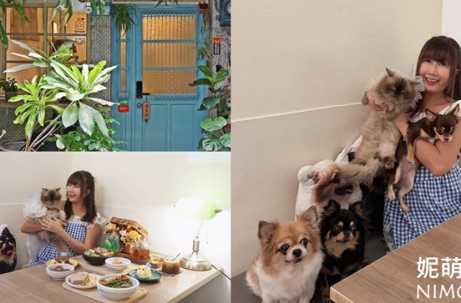 三重寵物友善咖啡廳｜妮萌咖啡NiMocafe，寵物可落地自在玩耍，唯美海景投影與老宅魅力，重現東北角海味的療癒空間。
