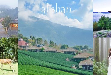 嘉義阿里山景點，走訪阿里山五大秘境部落，探索步道、巨木與古老鐵路的深度旅程。