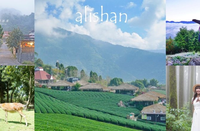 嘉義阿里山景點，走訪阿里山五大秘境部落，探索步道、巨木與古老鐵路的深度旅程。