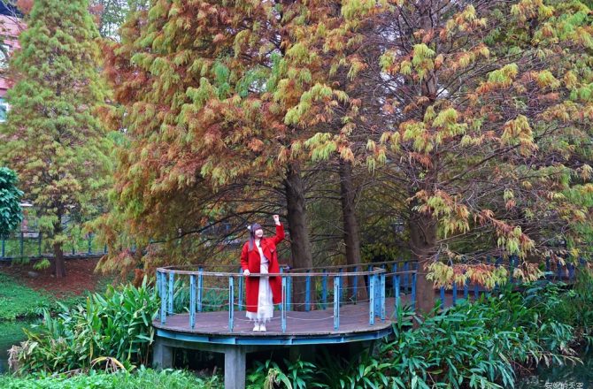 北部必訪五大落羽松秘境｜冬季限定夢幻美景與交通景點全攻略。