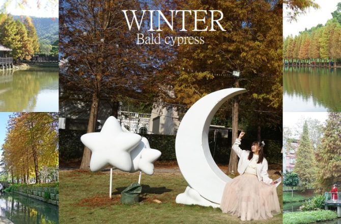 秋冬限定！北部落羽松懶人包｜10大金黃秘境一次看收藏。