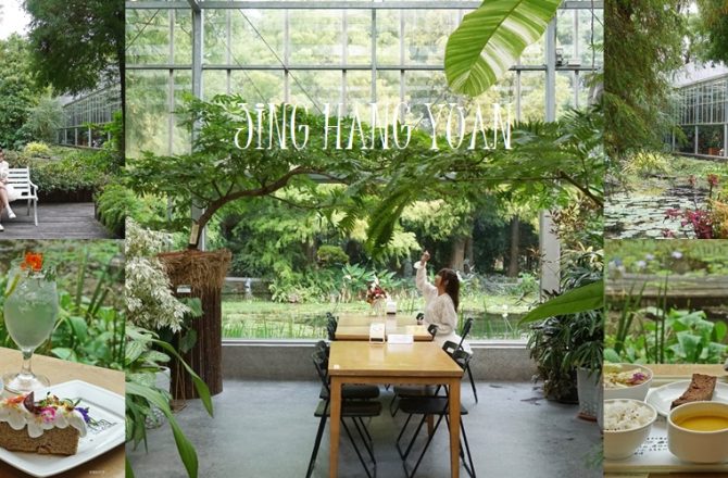 走進落羽松森林裡的【菁芳園】,這間玻璃屋餐廳太犯規!光影與森林交織超夢幻,餐點與甜品一次擄獲舌尖。