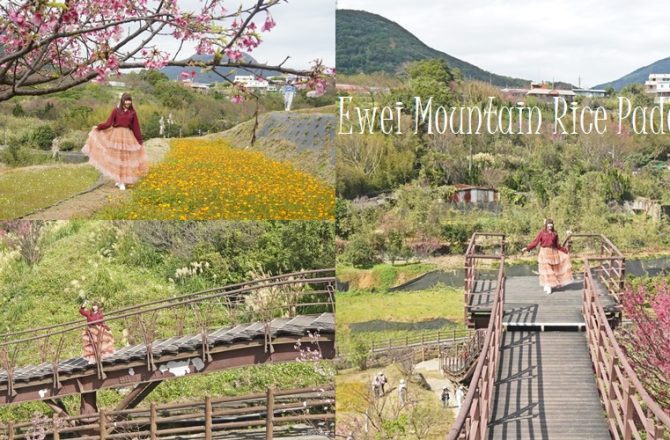 陽明山隱藏版秘境【鵝尾山水田步道】，夢幻浪棧橋風光，走進粉彩般的陽明山田野。