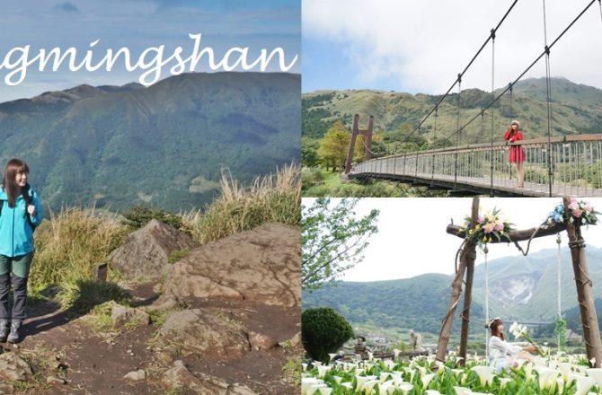 陽明山景點│17個陽明山旅遊提案，遠離塵囂的步道之旅，山林系咖啡館，花田與仙氣的相遇。