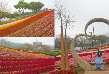 2026北投花之旅程｜三層崎花海夢幻登場！拼布花毯媲美北海道富良野，順遊嘎撈別公園一次玩。