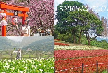 2026春季賞花巡禮｜北台灣賞花景點懶人包，城市櫻花到山裡花海一次收錄。