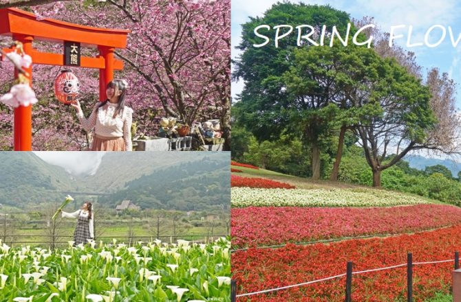 2026春季賞花巡禮｜北台灣賞花景點懶人包，城市櫻花到山裡花海一次收錄。