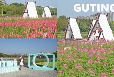 2026古亭河濱公園花海登場｜童話繪本場景＋巨大相機白色小屋，夢幻河岸打卡熱點。