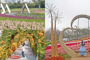 2026春季賞花巡禮｜北台灣賞花景點懶人包，河岸櫻花到城市花海一次收錄。